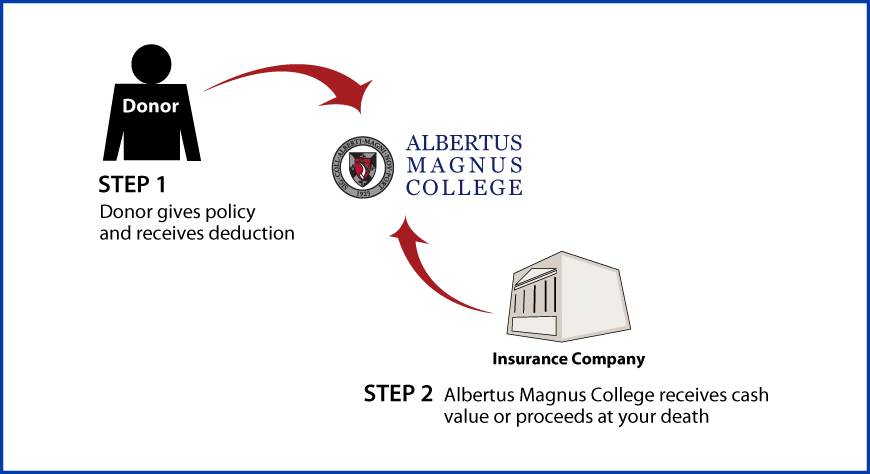 Life Insurance Policy Thumbnail